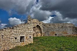 DSC03920 -1_t.jpg